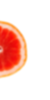 Bottom Orange