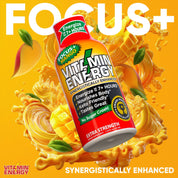Focus+ 12-Pack