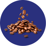 UVP image