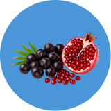 UVP image
