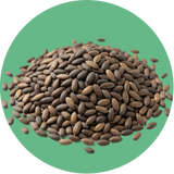 UVP image