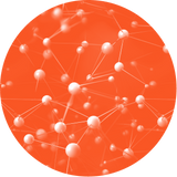 UVP image